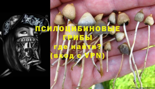 ECSTASY Алексеевка
