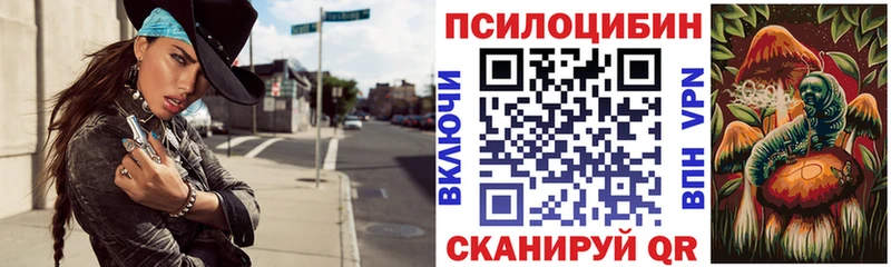 OMG вход Кашин Псилоцибиновые грибы прущие грибы